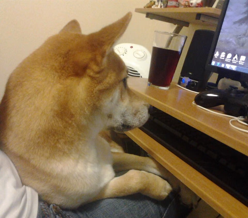 MVP王强：关键三分锁定胜局，荣获全场最高分！，王强打多少分