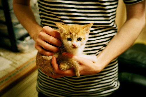 MVP王强:凭借关键三分获得全场最有价值球员!,王强怎么样